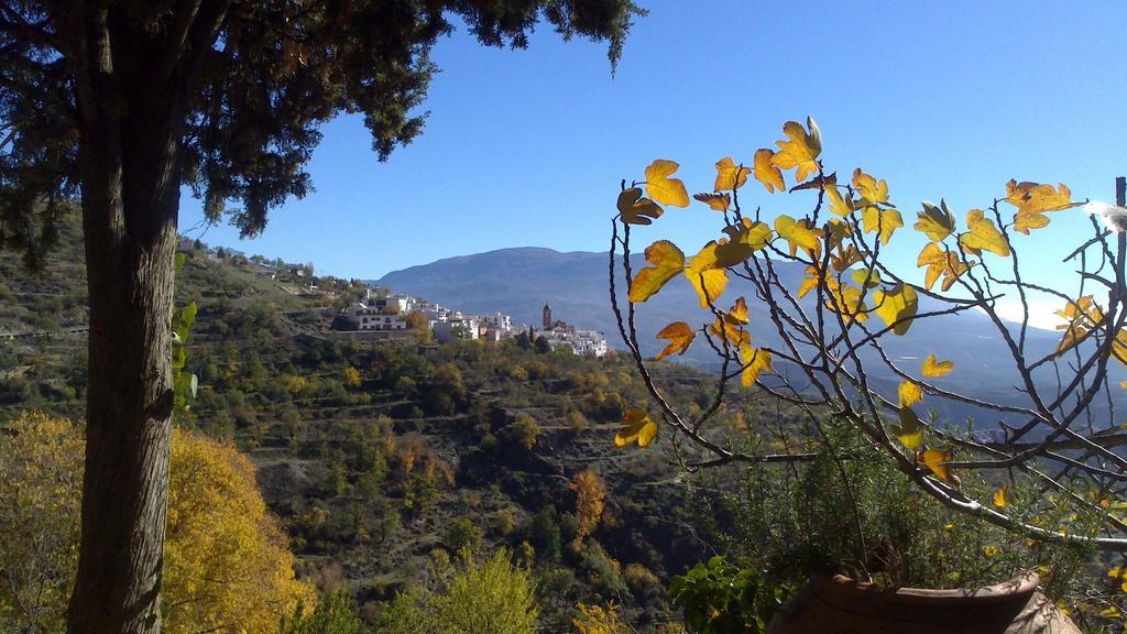 Cortijo Buena Vista *
