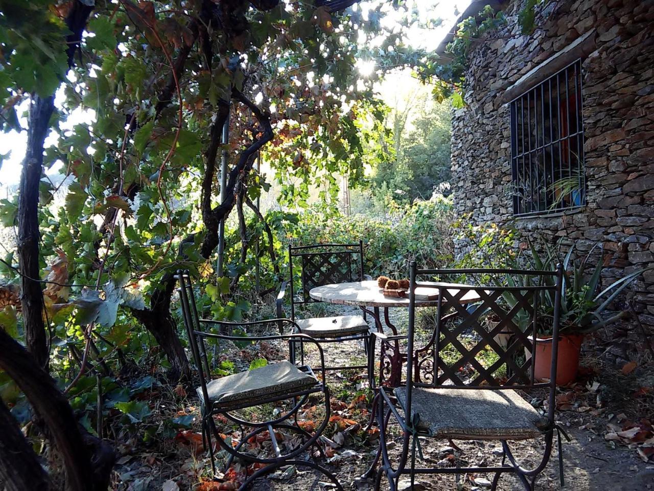 Cortijo Buena Vista Landhaus *