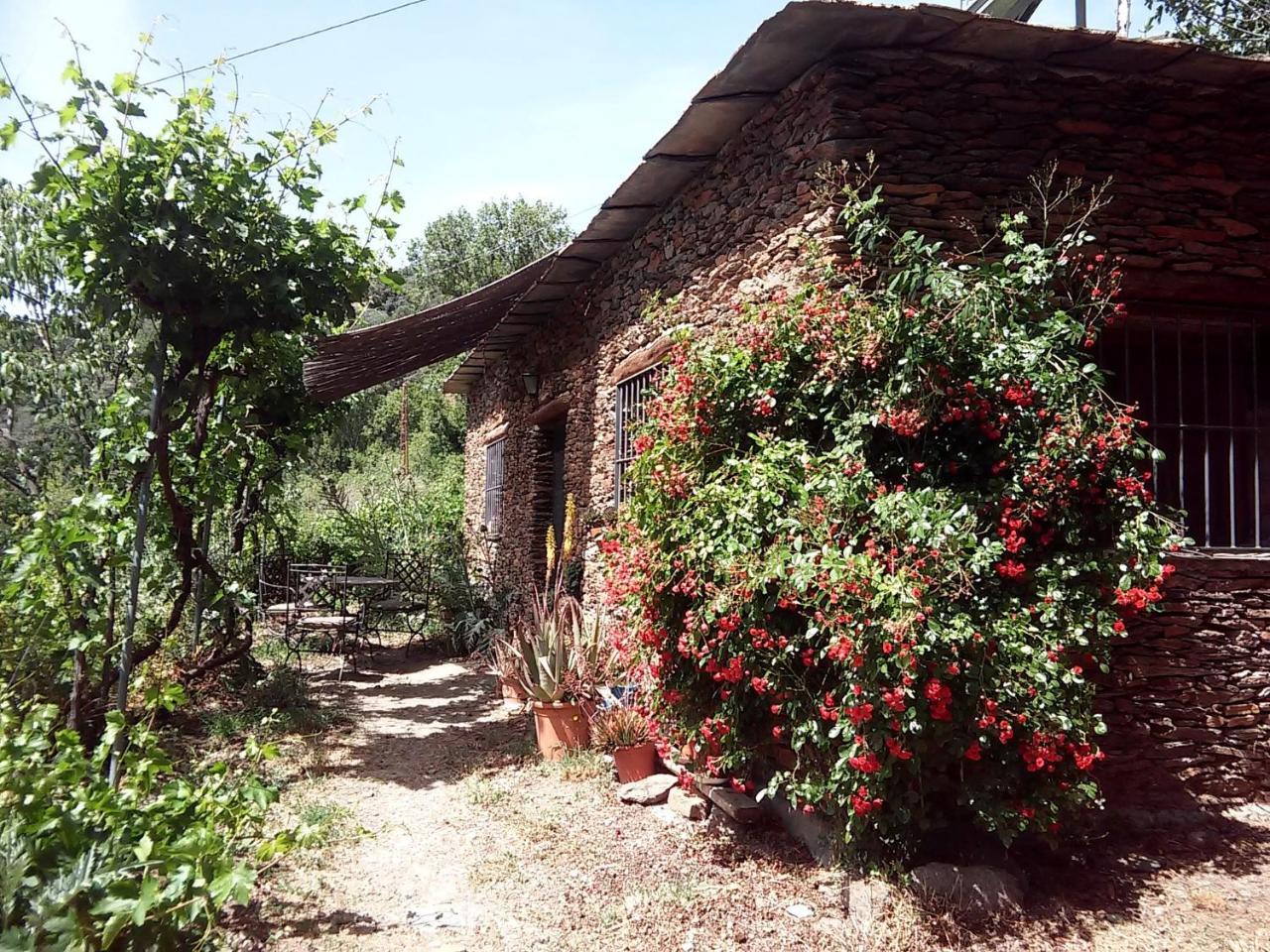 Cortijo Buena Vista Laroles