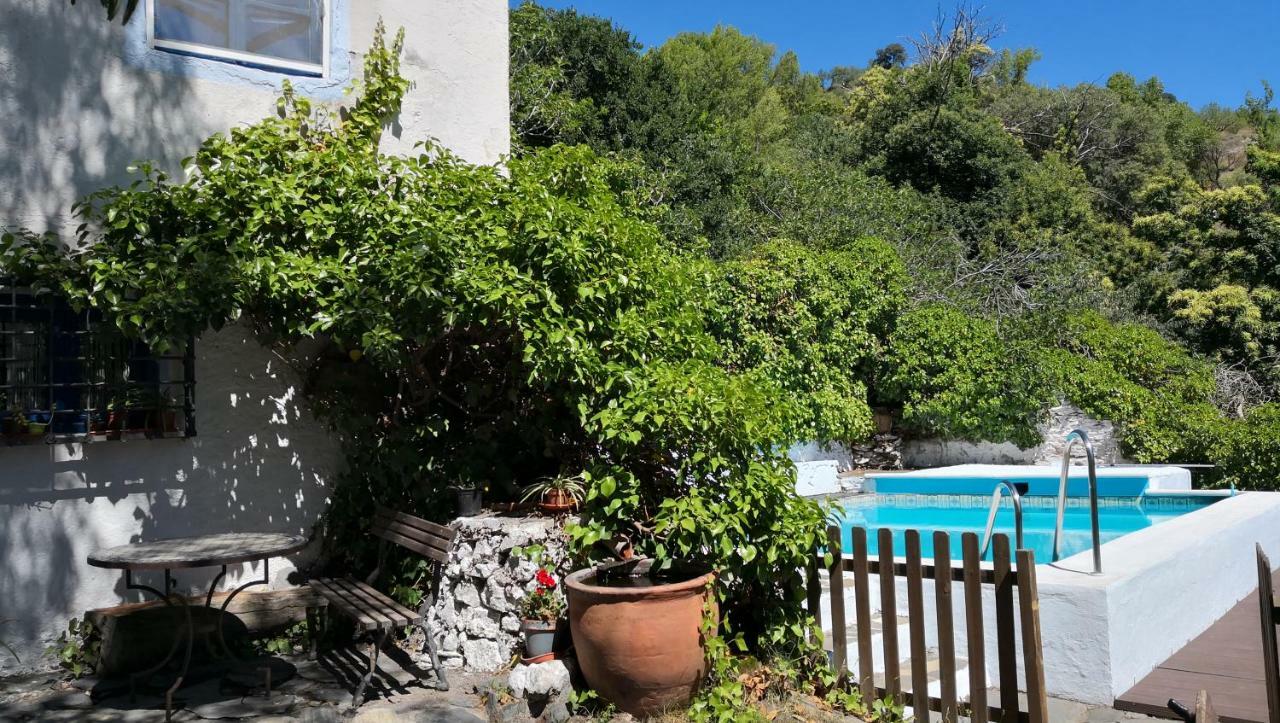 Cortijo Buena Vista Country house *