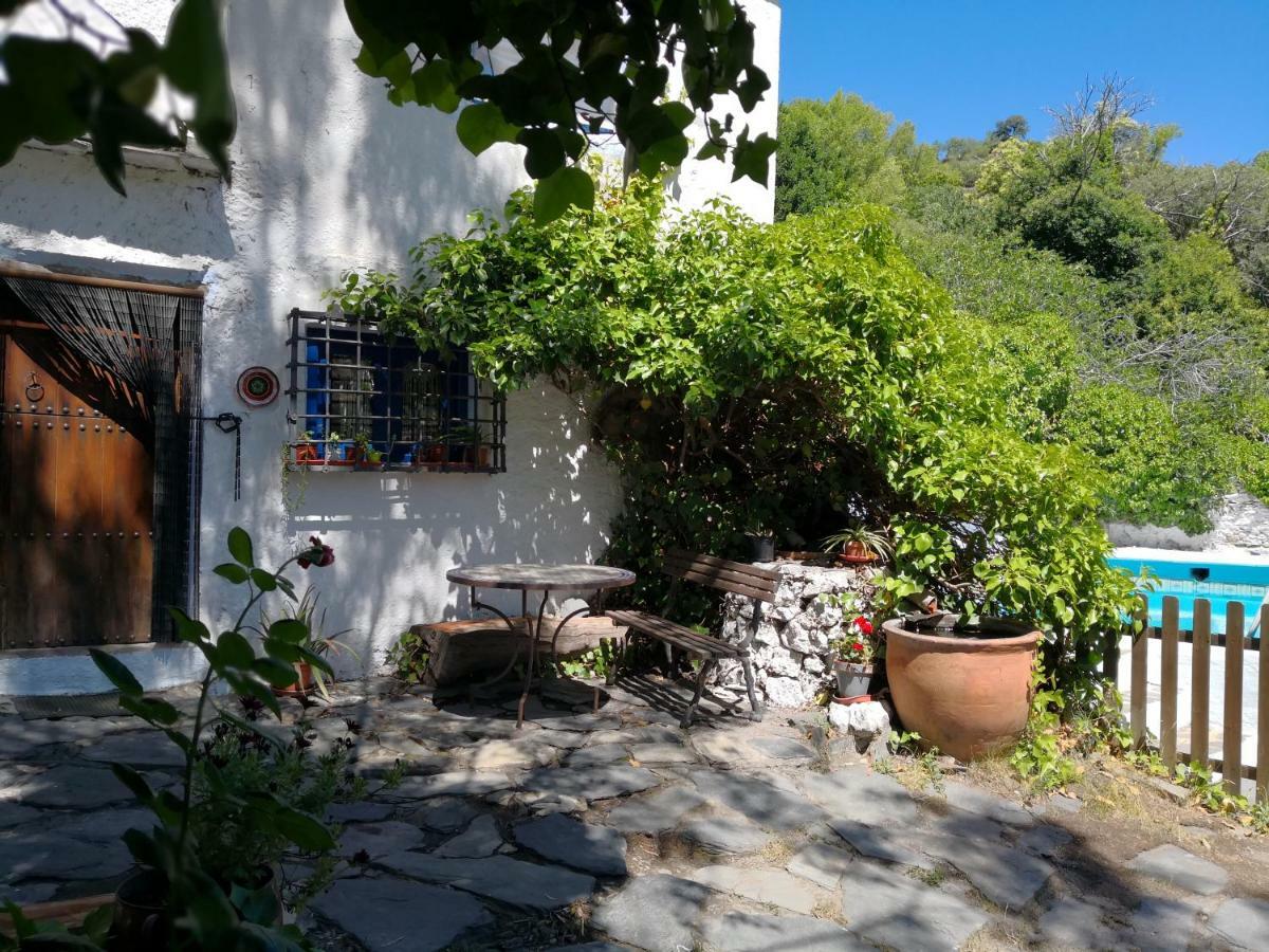 Cortijo Buena Vista Country house